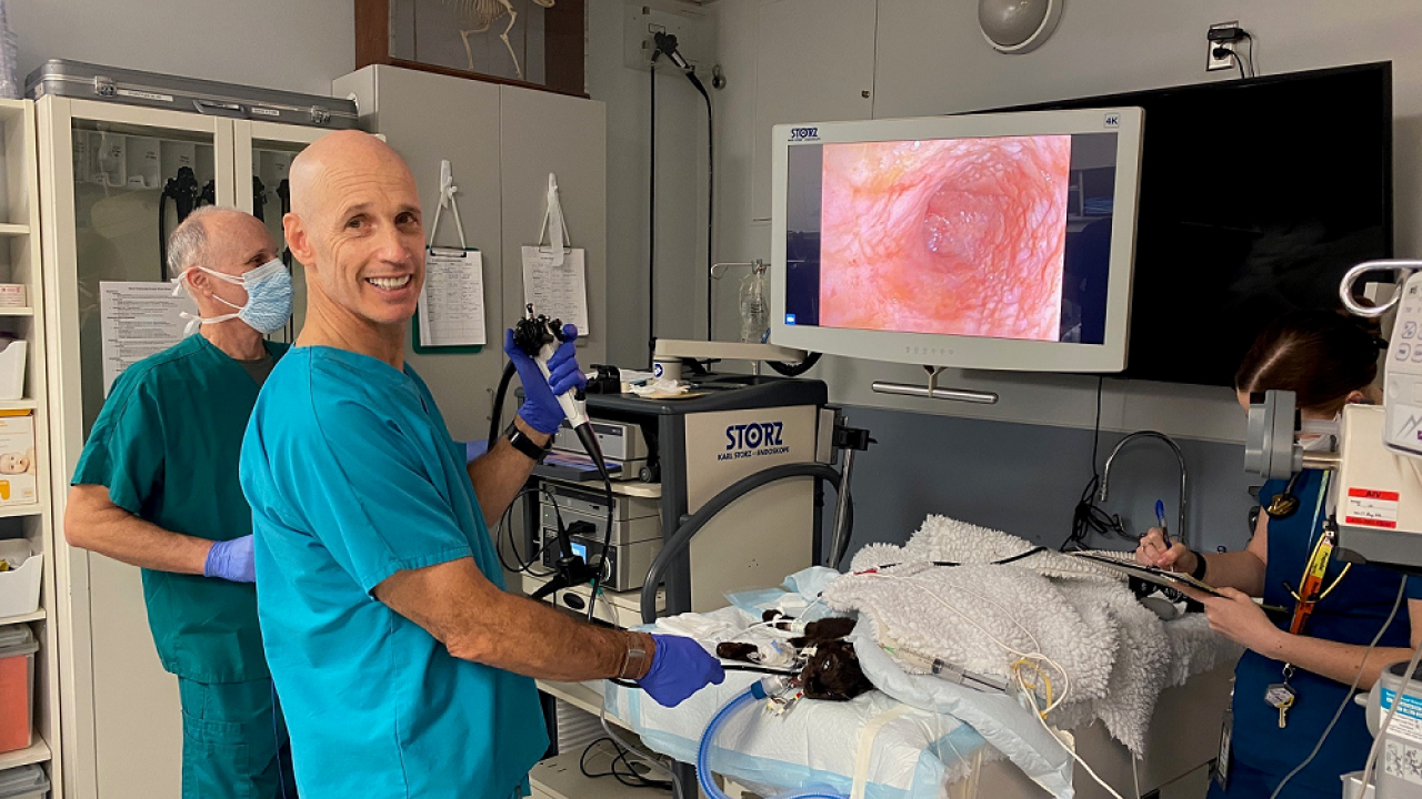 GI Short Course and Endoscopy Training Lab Center for Continuing